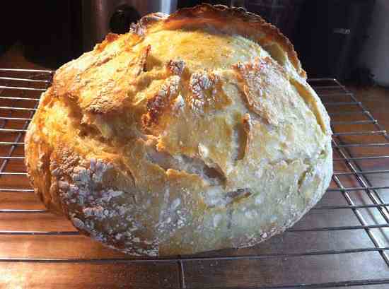 Reader Leah Robinson of Craig, Colo., snapped this photo of her first-ever homemade loaf of sourdough bread, which she made following the recipe in the article “Homemade Sourdough Bread, Step by Step” from the December 2013/January 2014 issue.